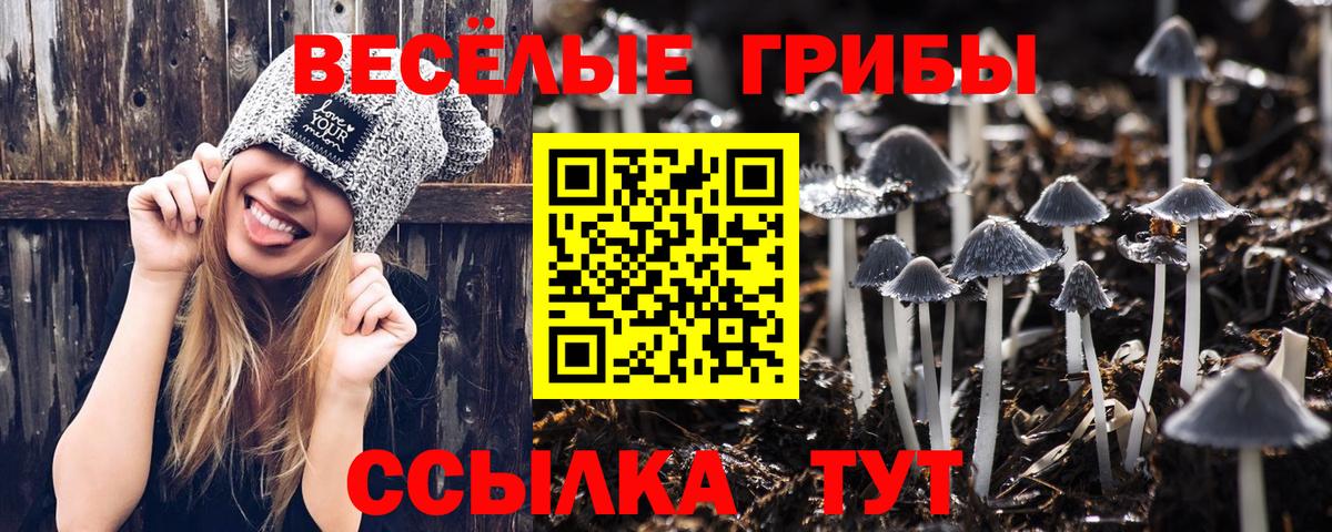Вичуга  Галлюциногенные грибы MAGIC MUSHROOMS  где продают   Вход с VPN 