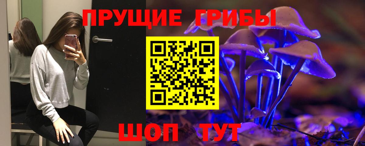 Галлюциногенные грибы Psilocybine cubensis Вичуга